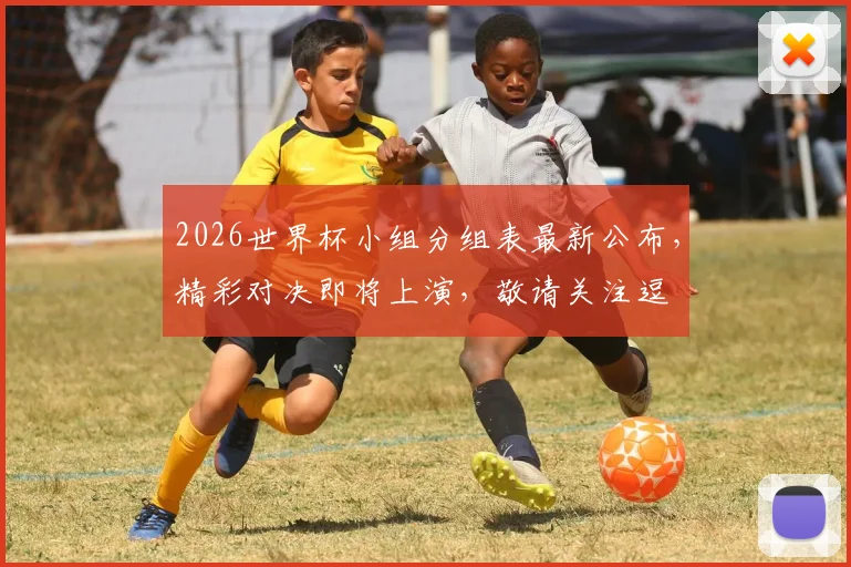 2026世界杯小组分组表最新公布，精彩对决即将上演，敬请关注逗