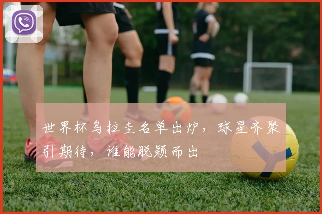 世界杯乌拉圭名单出炉，球星齐聚引期待，谁能脱颖而出