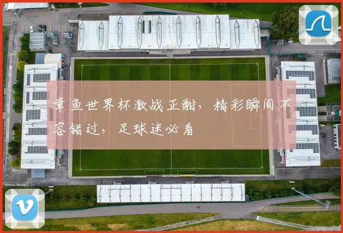 章鱼世界杯激战正酣，精彩瞬间不容错过，足球迷必看