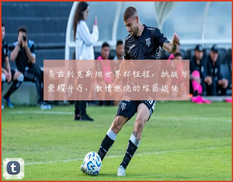 乌兹别克斯坦世界杯征程，挑战与荣耀并存，激情燃烧的绿茵战场