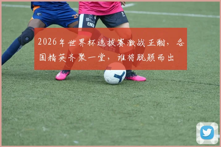 2026年世界杯选拔赛激战正酣，各国精英齐聚一堂，谁将脱颖而出